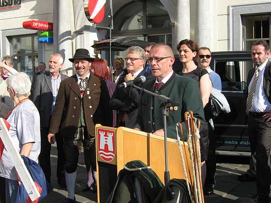 Maibaum_Linz_020.JPG